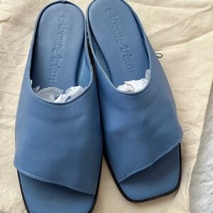 About Arianne Ojih blue flat mules
